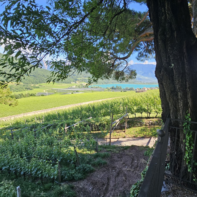 11.07.2026 Südtirol im Glas - Weintasting im Garten